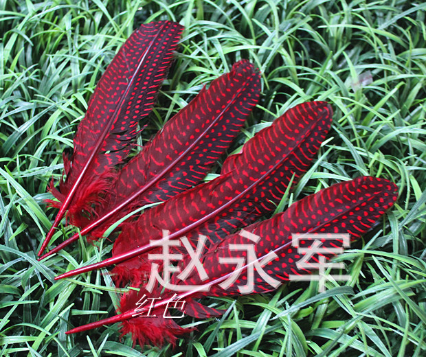 T2iz6EXoVaXXXXXXXX_!!159697808