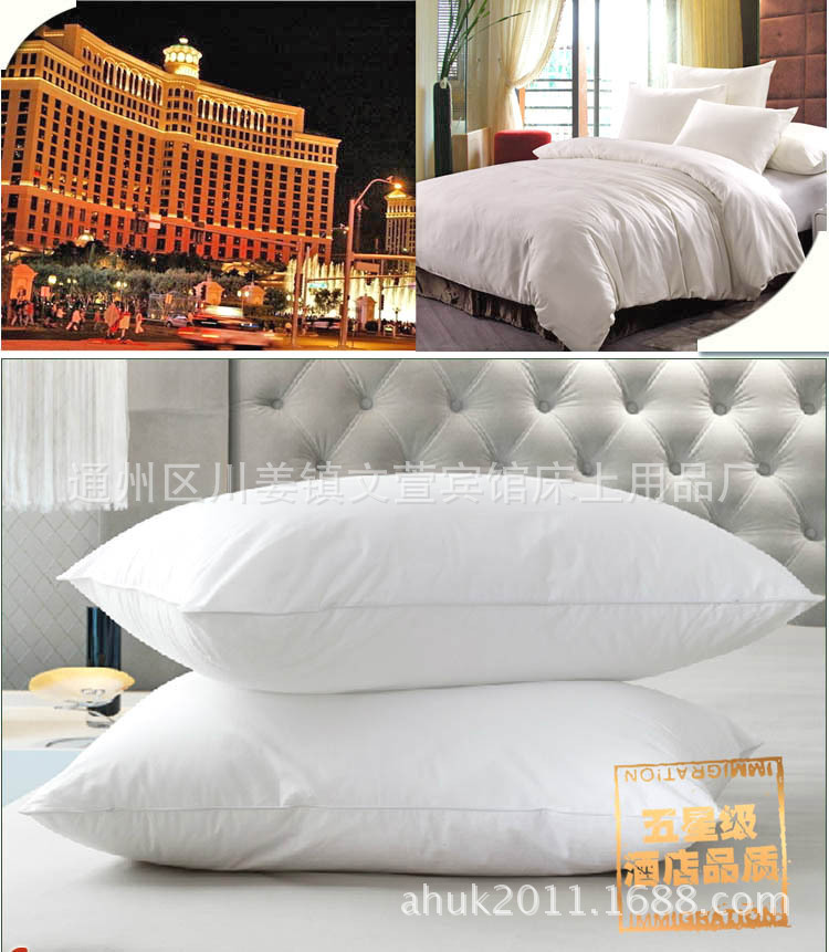 891929283_1642264031