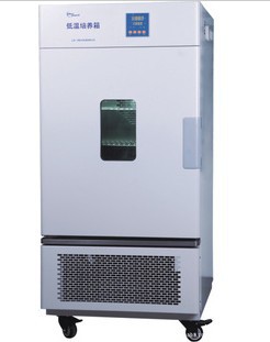 低温培养箱LRH-100CA/恒温电热低温培养箱