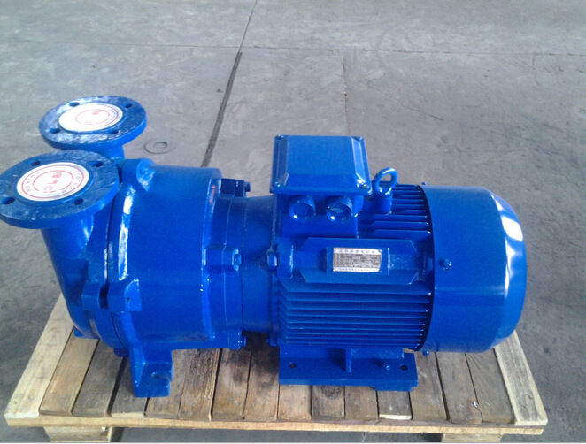 真空泵 专业真空泵 SK-12 真空泵水环式真空泵