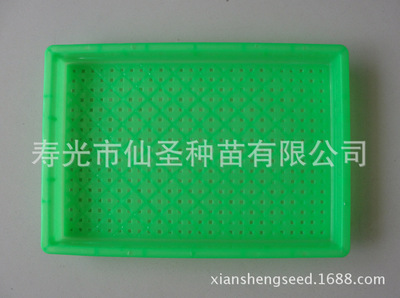 批发无毒无味阳台芽苗菜专用盘 全新PP工程塑料生产 美观耐用|ms