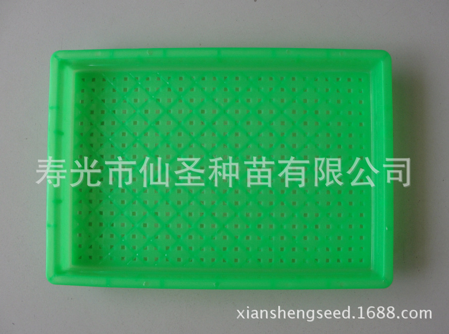 批发无毒无味阳台芽苗菜专用盘 全新PP工程塑料生产 美观耐用|ms
