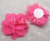 Rose red* diameter about 8 cm