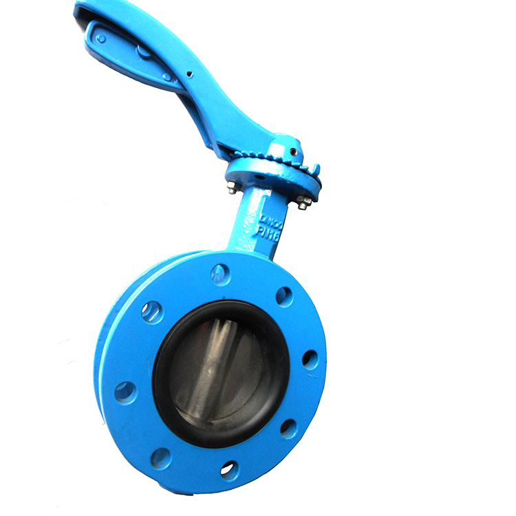 四氟胶蝶阀蓝色1