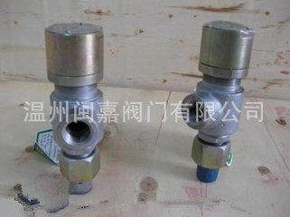 低温安全阀\DA21Y低温安全阀\15DA22F低温安全阀\低温阀