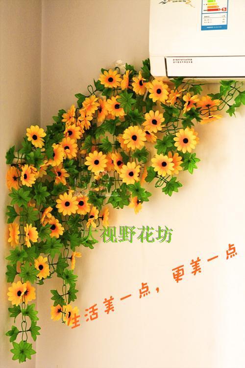 T1rLpoXtXhXXXXXXXX_!!0-item_pi