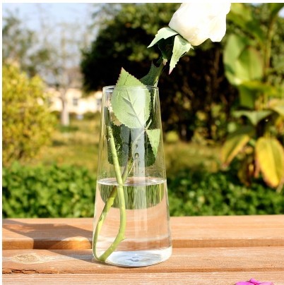 插花 透明 长管   客厅装饰 摆件水培植物瓶 收口玻璃花瓶