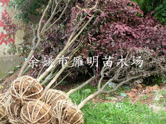 201052984750_16_副本