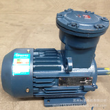 Медный ядерный взрыв-защищенный двигатель YBK3-355L1-6 220 кВт угольные шахты под трехфазным асинхронным двигателем.