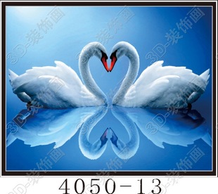 �S��ֱ�N���l40*50���Z��ˮ3D���w������Ӻ����S����Ů�