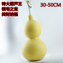 ��Ȼ����J��ˇ ���J��ˇƷ���l ���J 50��������