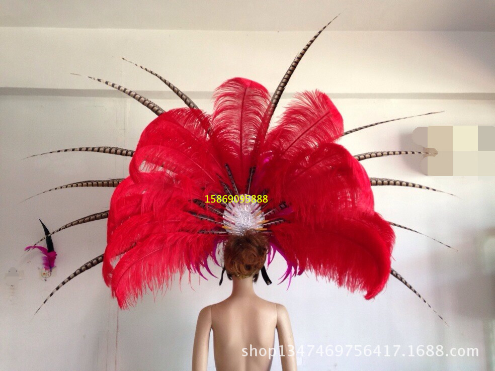 演出服裝羽毛裝飾