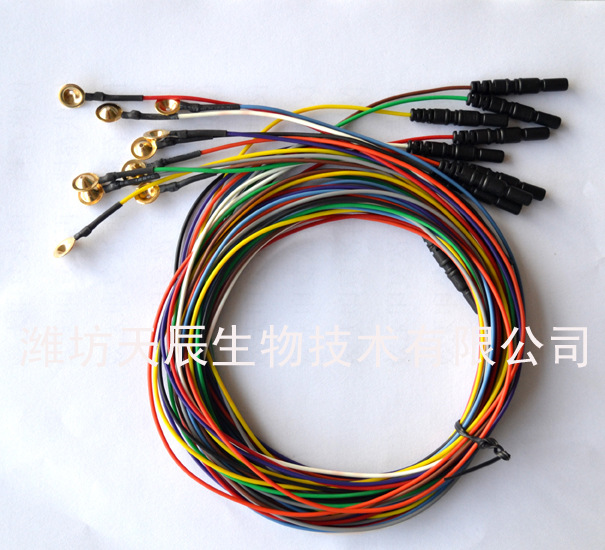 鍍金盤狀電療002 拷貝