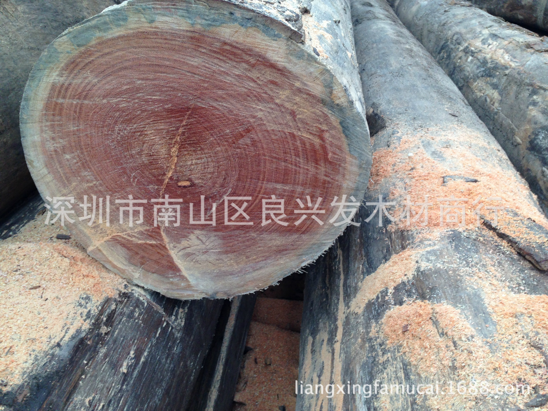 金笔,甘笔,甘巴豆