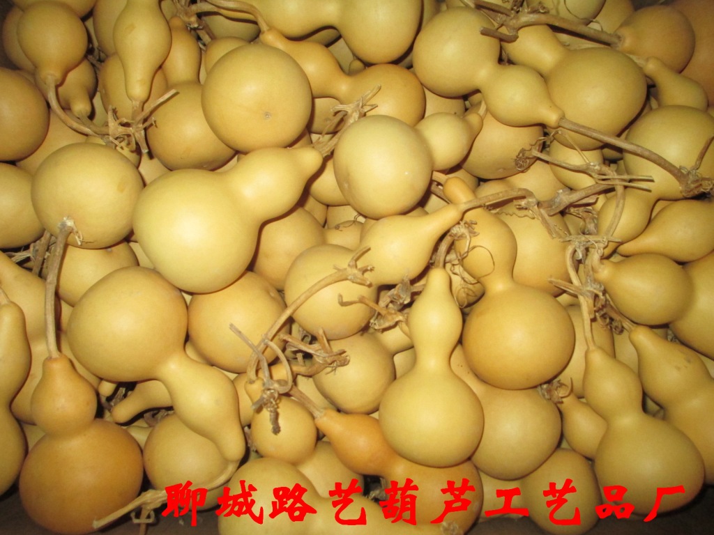 2014白皮小亚腰葫芦通货