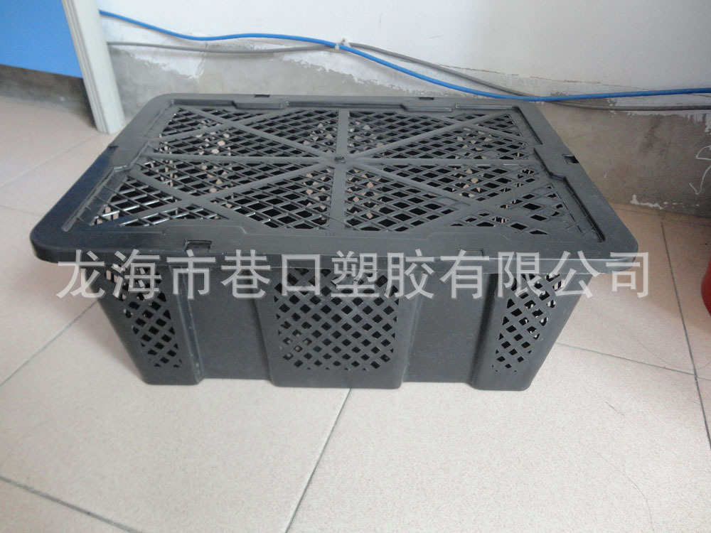 供应18斤水果筐一次性杨梅筐