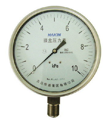 Stainless steel Pressure gauge Diaphragm table YE100F