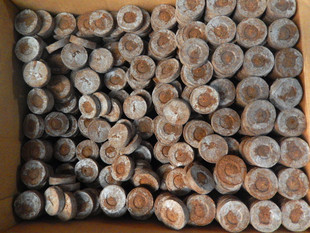 Jiffy Jiffy Jifei Seedinglings 30 мм пятна