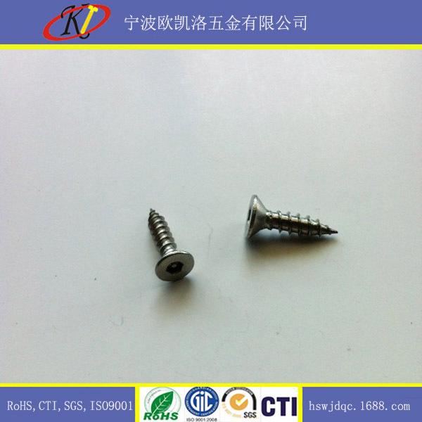 厂家直销 沉头内六角带柱防盗自攻螺丝 4.2x16mm