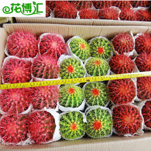 ������ֱ�N����������� ��ݗ�� �������k����С���Ի���ֲ�����l