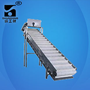 厂家出售链条式SYJ系列板式升运胡罗卜菠萝洗果机