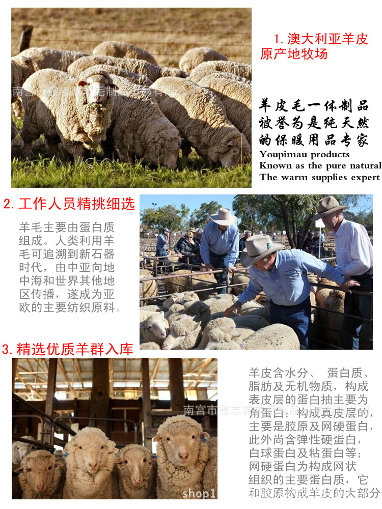 T234OhXjFcXXXXXXXX_!!360375233