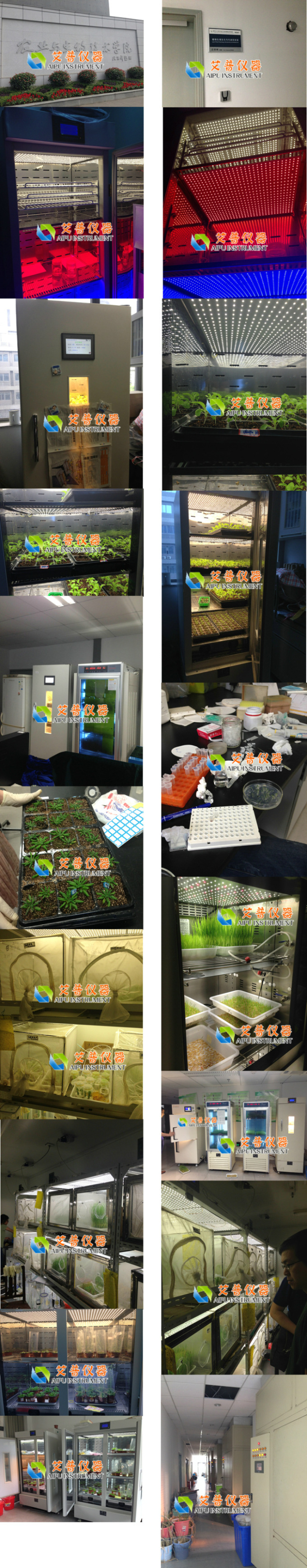 TB2TwWBbXXXXXamXXXXXXXXXXXX-77