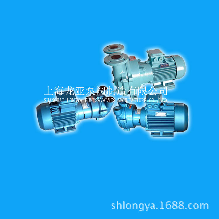 2BVA2070-0NC抗腐蚀真空泵 制造2bea真空泵