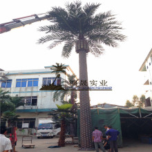 �}�Q�Ӽ{�������䶨�� ���溣���S�� ����ֲ���̈��@���^�����l