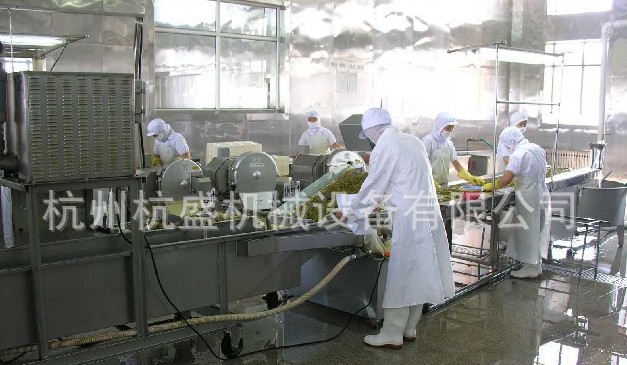 榨菜生产线,榨菜上料清洗切丝脱盐脱水加工生产线设备