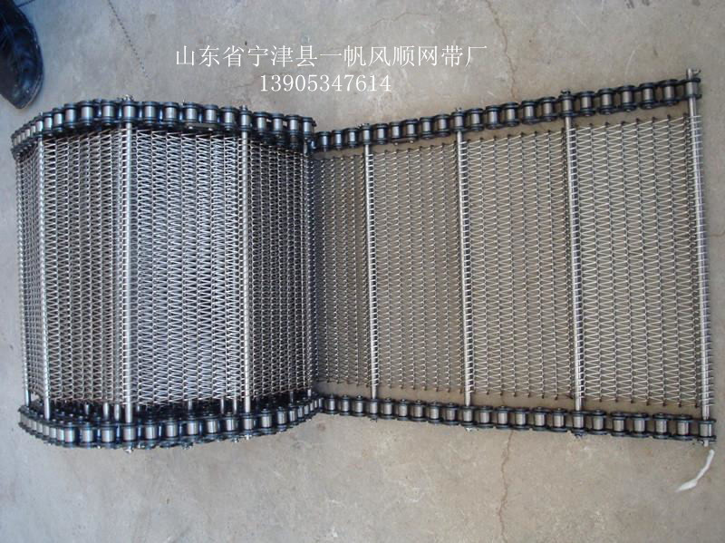 小网孔链条式网带-10