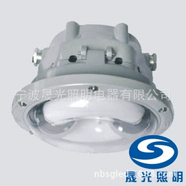 防爆灯;泛光灯;LED球泡灯