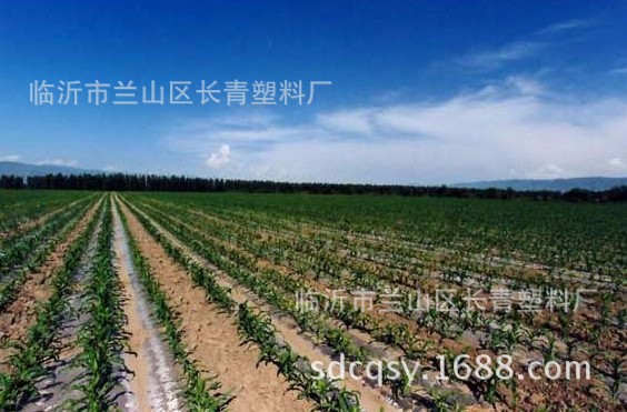 Vivero especial de EVA película de plástico anti-tracción anti-envejecimiento Bienvenido a comprar