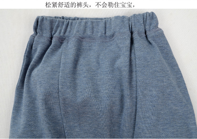 8034-02間條眼鏡熊750整圖_10