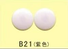 B21 light powder