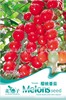 [Cherry Tomato] Red Holy Fruit Family Planting about 100 capsules