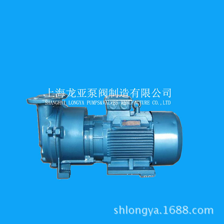 2BV5111-0KC单级抽气泵浦 反应罐中抽吸泵 真空结晶、蒸馏真空泵
