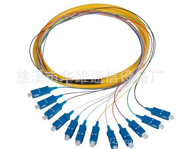 12芯SC尾纤
