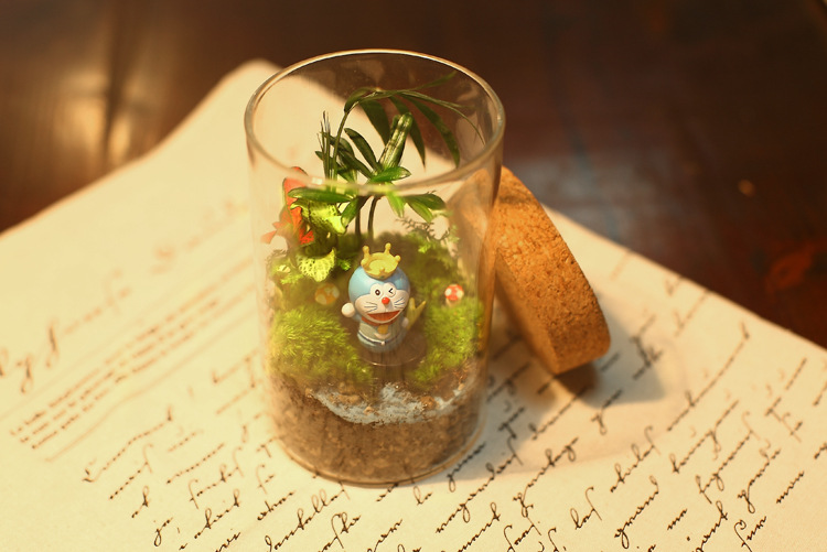 Botella de vidrio de paisaje micro Botella de musgo de vidrio transparente florero suculento Tarro sellado de corcho