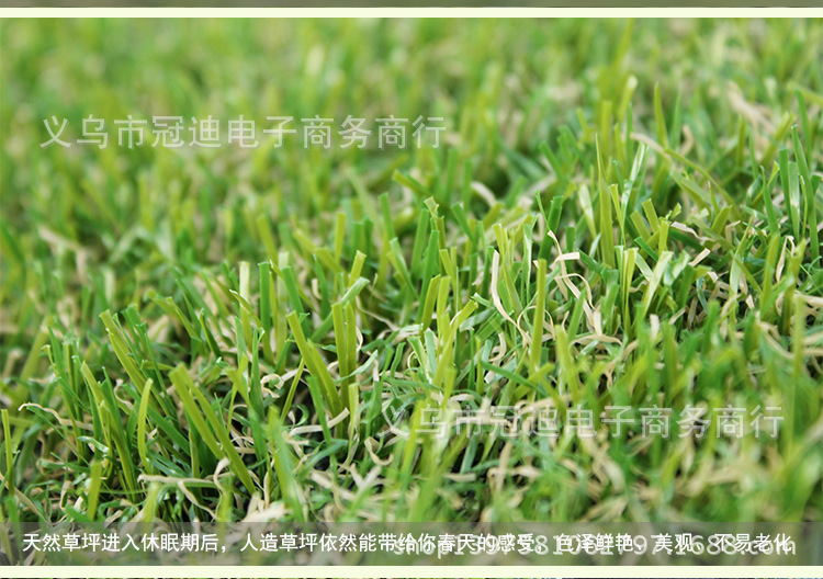 805加密秋草2cm_06