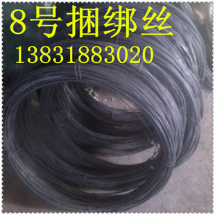 8̖ �F�z �˻���F�z ���ЬF؛ ���{ֱ �ؔ� �ɶ��׃��|���F�z