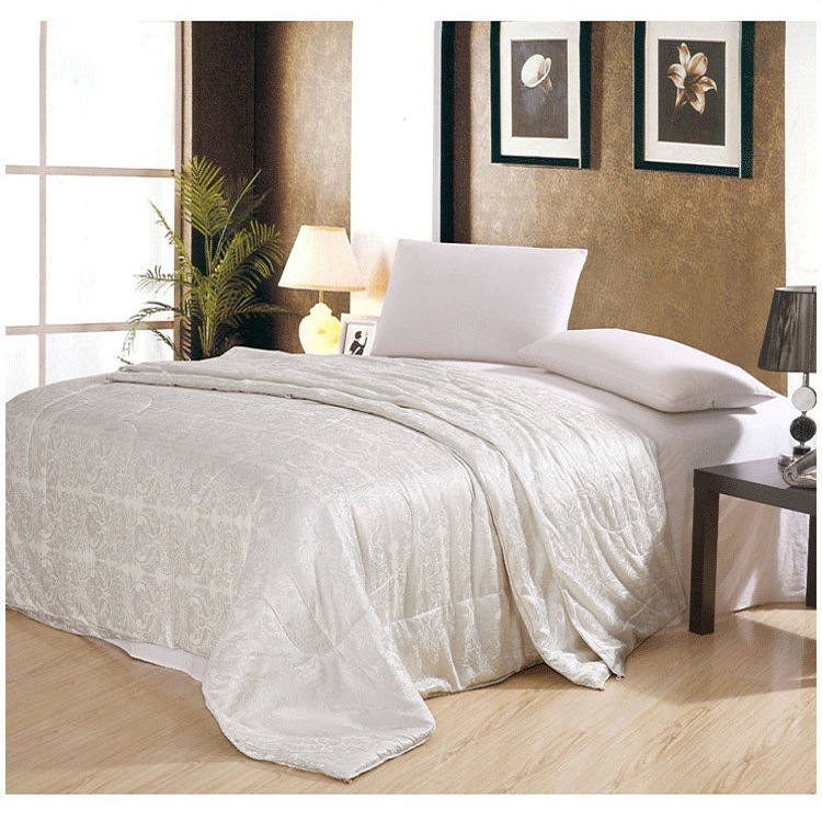 厂家批发定做空调被子 夏凉被春秋被子 蚕丝被芯 礼品促销会销|ru