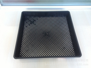Factory Direct Sales Square Golden Lotus Seedling Tray 42*42 Bud Dish Planting Pot Dendrobium Flower Seedling Flat Tray