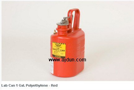 美国eagel1加仑实验室安全罐红色