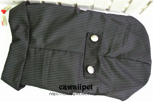 Suit 23