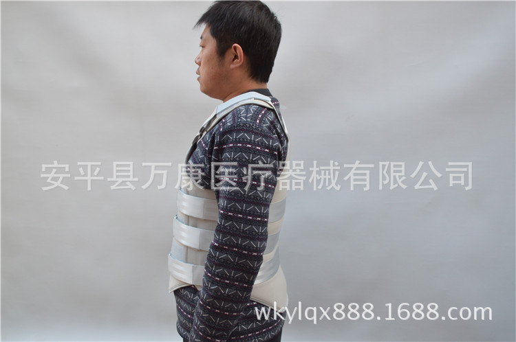 （现场塑型）胸腰椎固定器(1)