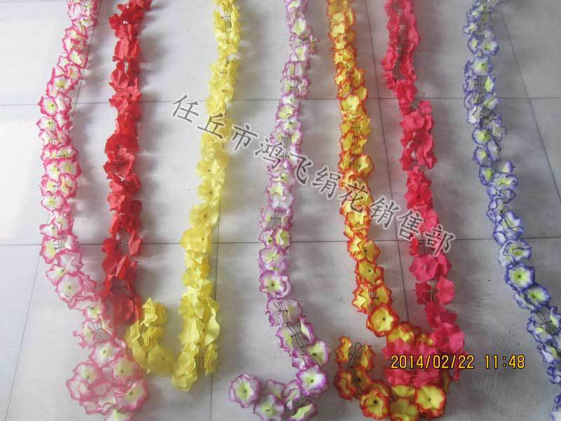 IMG_8189_调整大小