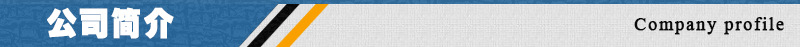 公司简介