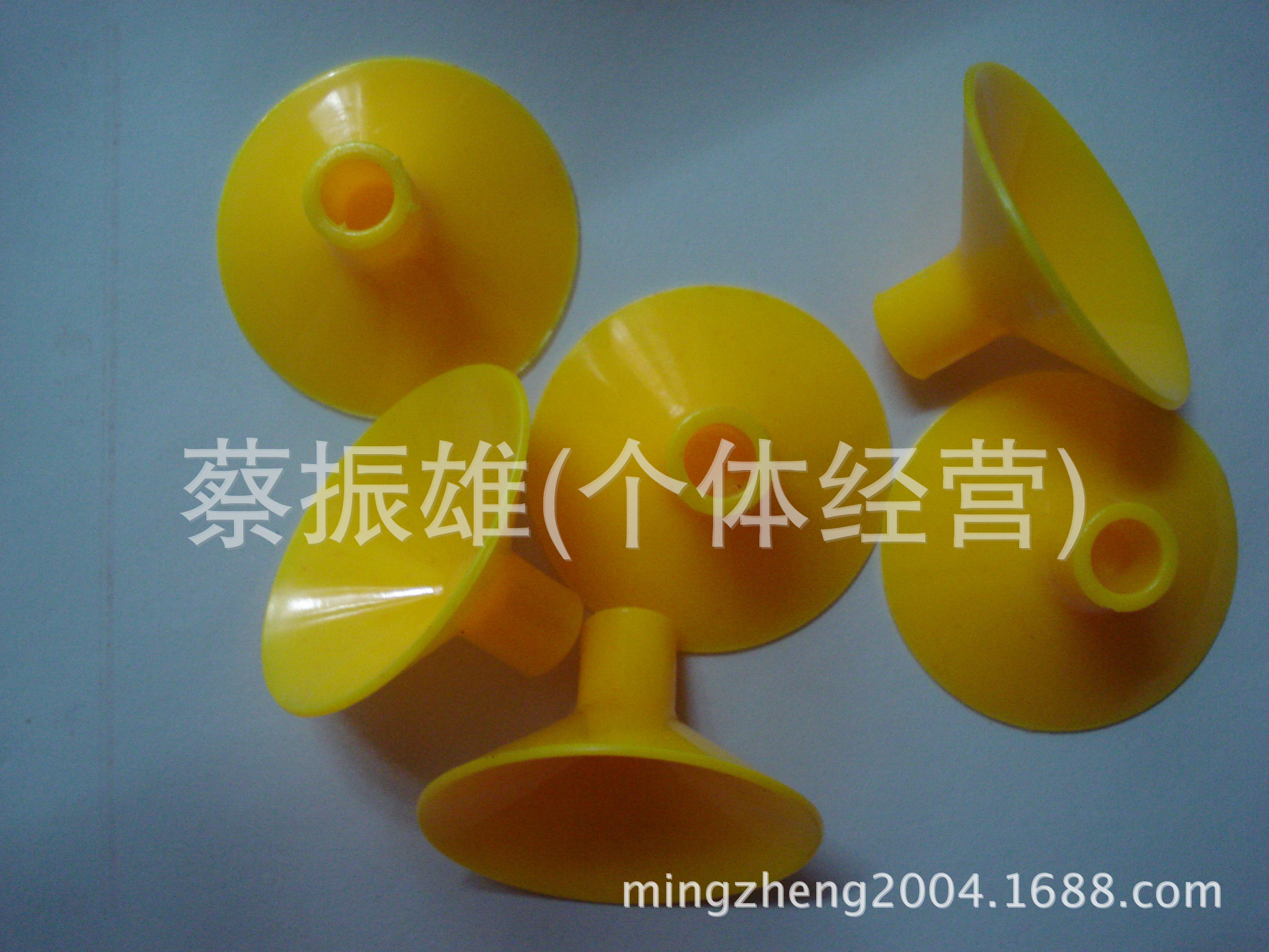 DSC05581