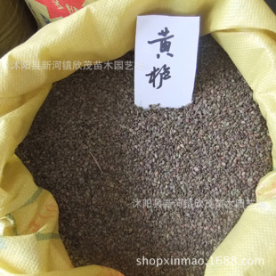 �S���N�ӟ���N�ӻ��ܲ��~��N�� �²ɻ��N����ľ�N���L����N��